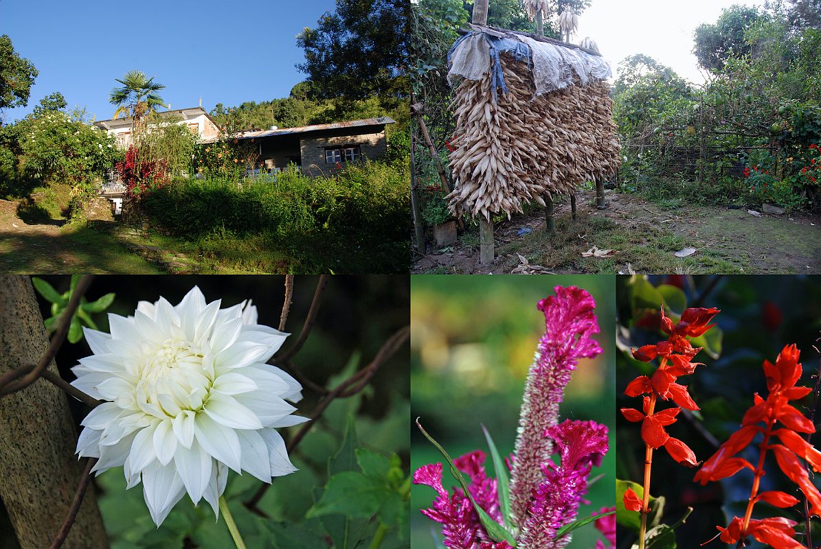 Rolwaling 00 06 Dolakha Lodge And Flowers